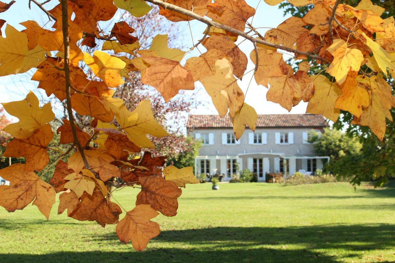 Edera Rossa Bed & Breakfast Treviso Exterior photo