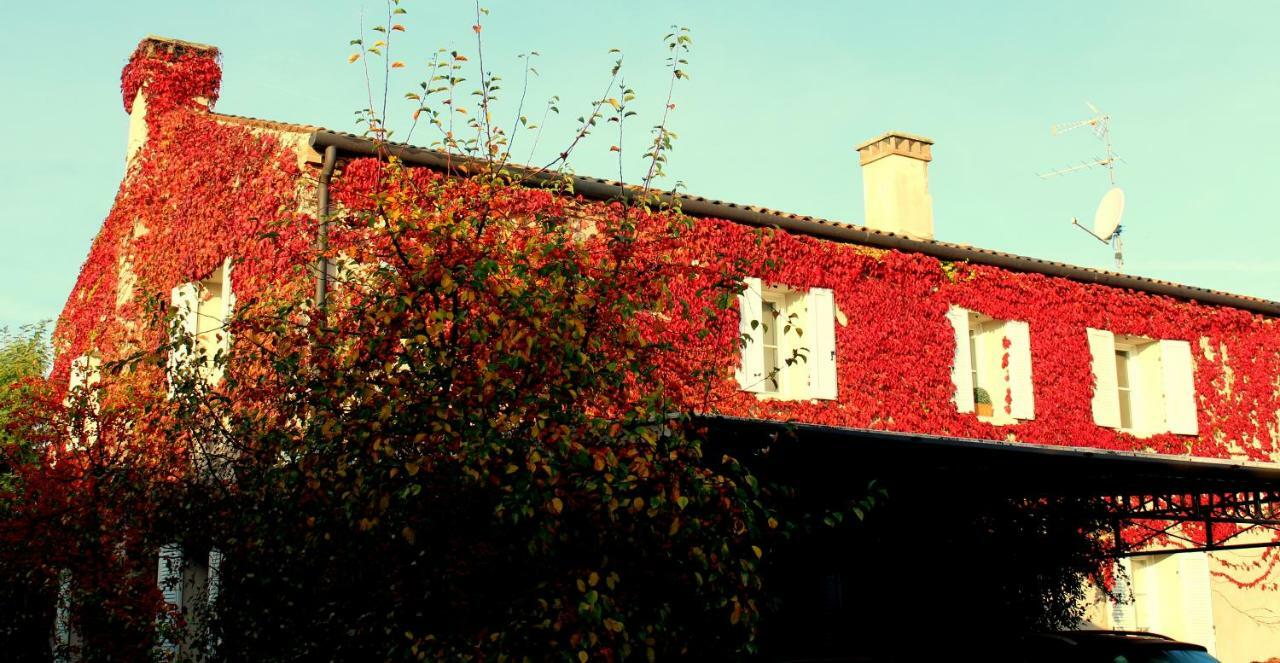 Edera Rossa Bed & Breakfast Treviso Exterior photo