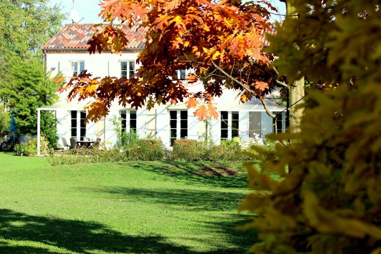 Edera Rossa Bed & Breakfast Treviso Exterior photo